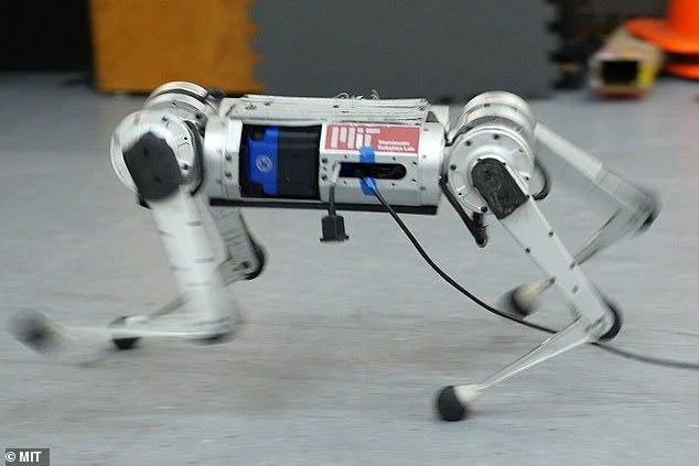 Robot báo Cheetah có thể học chạy để vượt qua giới hạn tốc độ của bản thân