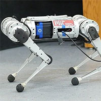 Robot báo Cheetah có thể học chạy để vượt qua giới hạn tốc độ của bản thân