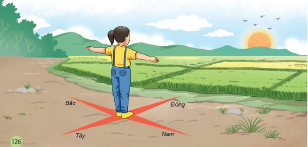 Nơi bạn lớn lên có thể hình thành kỹ năng xác định phương hướng của bạn