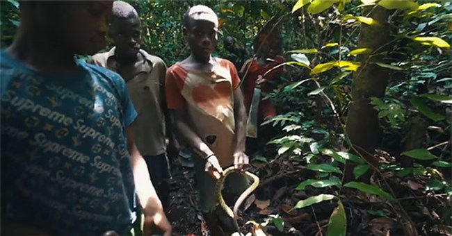 Rùng mình với bộ lạc người lùn chuyên săn rắn cực độc để ăn thịt, món ăn ít ai dám thử!