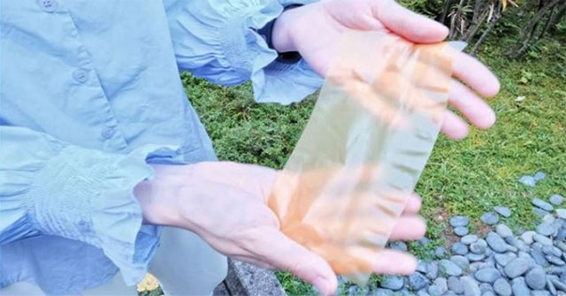 Loại giấy mới được tạo từ phấn hoa có thể in và xóa nhiều lần