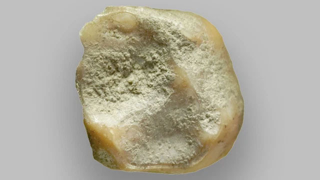 Sự tuyệt chủng của người Neanderthal không phải do tổ tiên chúng ta gây ra trong một sớm một chiều!
