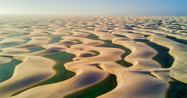 Sa mạc "dị nhất thế giới": Cồn cát vàng thì chẳng thấy đâu mà chỉ thấy hồ nước với tôm cá