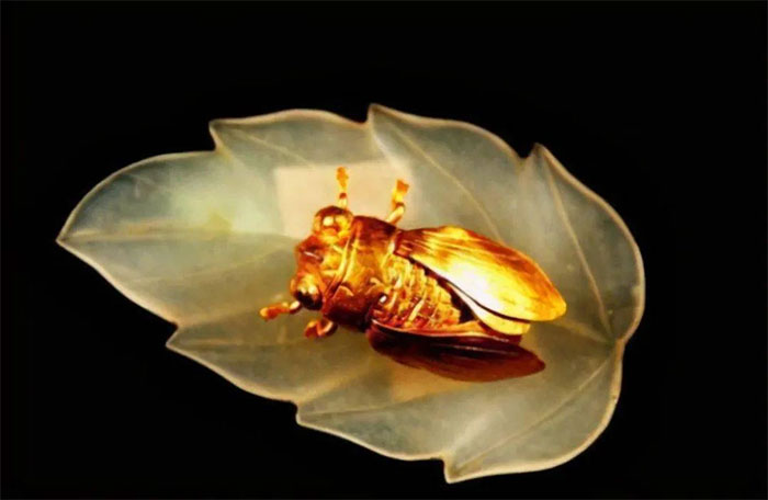 "Kim thiền ngọc diệp" - con ve vàng và lá ngọc được tìm thấy trong ngôi mộ cổ thời nhà Minh.