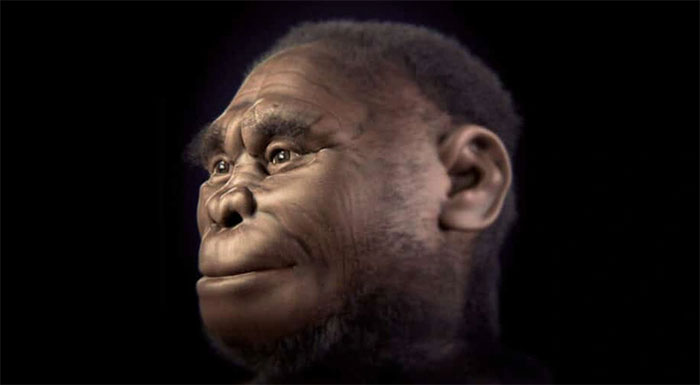 Loài Hominids sống khoảng 18.000 năm trước có thể vẫn còn tồn tại