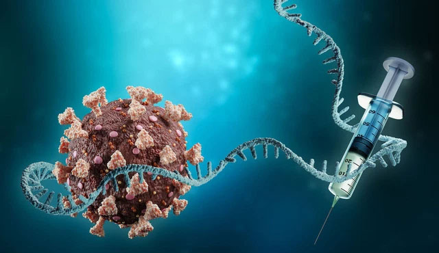  Công nghệ mRNA có thể hỗ trợ kích thích sản sinh tế bào tim. 
