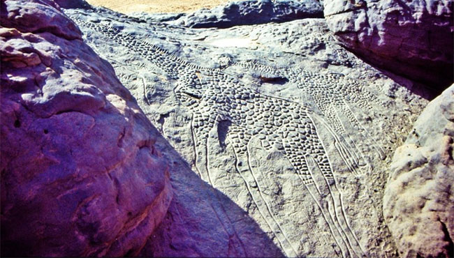 Khám phá thành cổ bí ẩn trong sa mạc Sahara