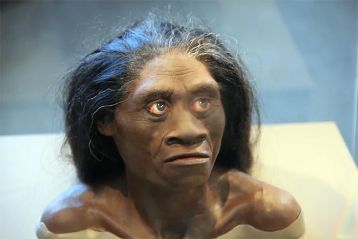 Loài Hominids sống khoảng 18.000 năm trước có thể vẫn còn tồn tại