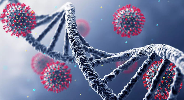 Nhiều phát hiện mới đáng lo: Virus ngày càng nguy hiểm với loài người