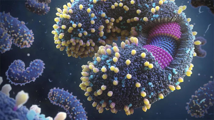 Nhiều phát hiện mới đáng lo: Virus ngày càng nguy hiểm với loài người