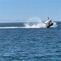 Cá voi húc tung thuyền chở khách bay lên không trung