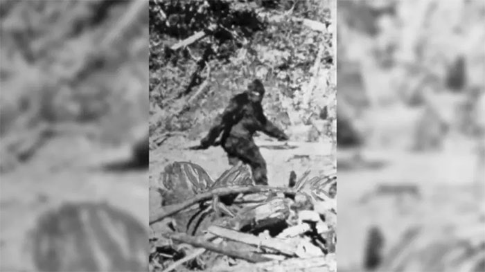 Một bức ảnh tĩnh được cho là của Bigfoot được chụp ở đông bắc Eureka năm 1967.