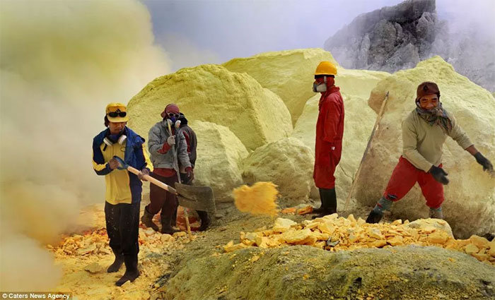  Các thợ mỏ lấy 'vàng' ở miệng núi lửa. 