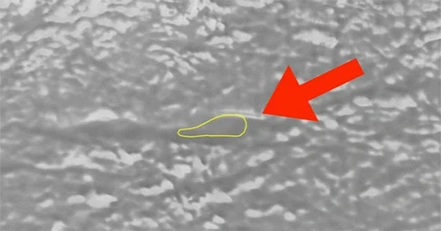 Dùng sóng radar, khoa học bất ngờ với thứ nằm bên dưới lớp băng ở Nam Cực
