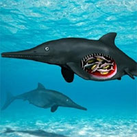 Khai quật hóa thạch 139 triệu năm của thằn lằn cá mang thai