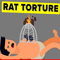Rat Tortur - tra tấn bằng chuột: Hình thức tra tấn bắt nguồn từ thời La Mã cổ đại