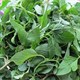 Có thể thay thế rau xanh bằng trái cây được không?
