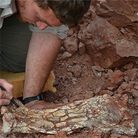 Phát hiện dấu tích của "rồng tử thần" sống cách đây 86 triệu năm