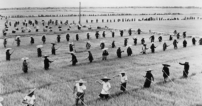 Đại nạn đói ở Trung Quốc (1959-1961).