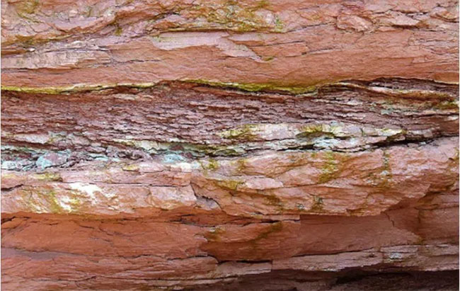 Từ lớp trầm tích tìm thấy, các nhà pháp y địa chất đã phát hiện ra sự kiện Carnian Plugvial