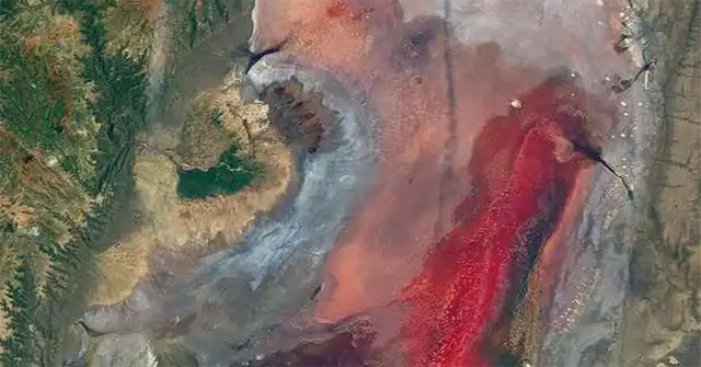 Hồ nước đỏ như máu ở Tanzania này sở hữu siêu năng lực biến hầu hết các sinh vật thành đá