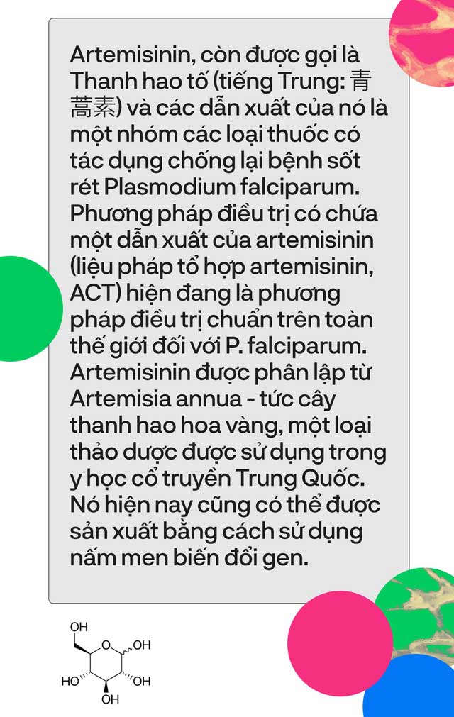 Top 8 nghiên cứu đã thay đổi thế giới mà bạn chưa từng nghe tới