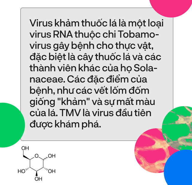 Top 8 nghiên cứu đã thay đổi thế giới mà bạn chưa từng nghe tới