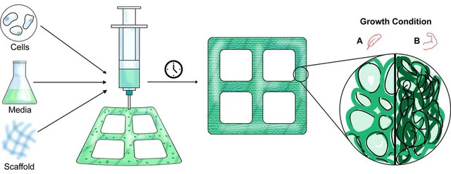 Bê tông và thịt đã là gì? Sắp tới gỗ cũng có thể in 3D