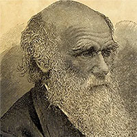 Nghiên cứu chỉ ra "lỗ hổng" trong học thuyết của Darwin về tiến hóa