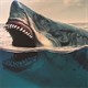 Loài cá quen thuộc này đã đẩy "quái thú" Megalodon tới bờ tuyệt chủng