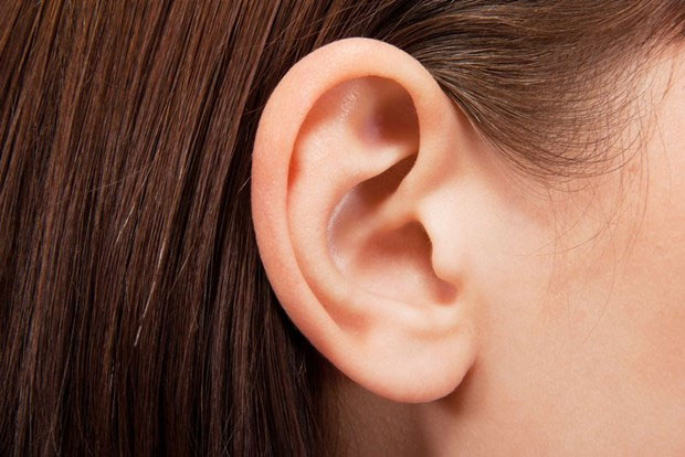 Phát hiện mới về tai giữa của người tiến hóa từ mang cá