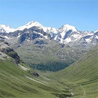 Tuyết tan chảy, đỉnh Alps đang "xanh hóa" mạnh mẽ