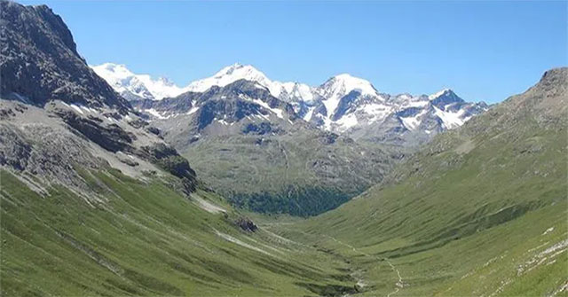 Tuyết tan chảy, đỉnh Alps đang "xanh hóa" mạnh mẽ