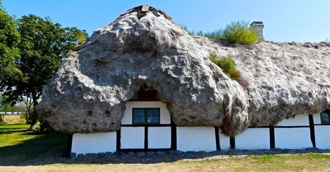 Vật liệu tự nhiên siêu bền, nếu trải lên mái nhà, nó sẽ không bị mục nát trong suốt 300 năm