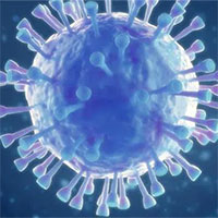 Phát hiện virus corona mới ở Thụy Điển, "không biết có gây nguy hiểm cho người hay không"