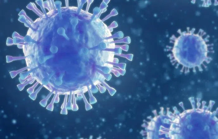 Phát hiện virus corona mới ở Thụy Điển, 