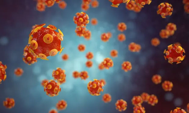 Hình ảnh mô phỏng virus gây bệnh viêm gan. 