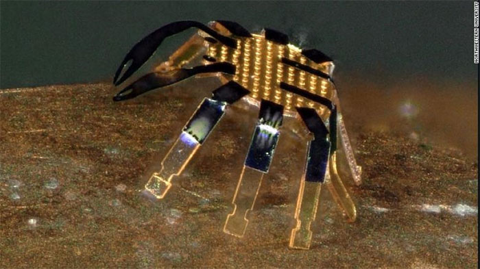 Robot siêu nhỏ chuyển động với sự trợ giúp của tia laser.