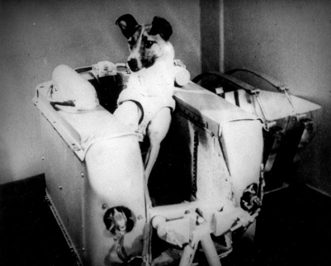 The Sputnik 2 spacecraft carrying astronaut dog Laika launched on November 3, 1957.