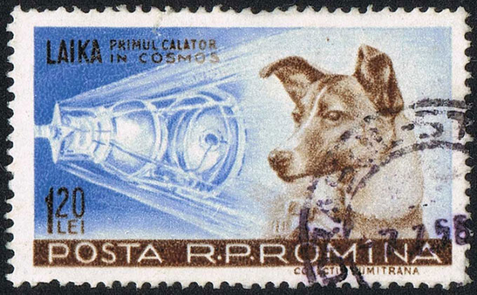 Laika the dog on a stamp from Romania, issued between 1957 and 1987.
