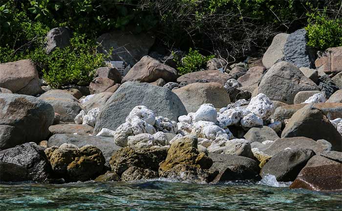 Nghĩa địa san hô trong khu bảo tồn vịnh Nha Trang