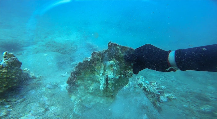 Nghĩa địa san hô trong khu bảo tồn vịnh Nha Trang