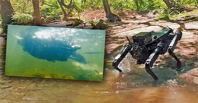 Chó robot thế hệ mới có thể bơi ào ào dưới nước