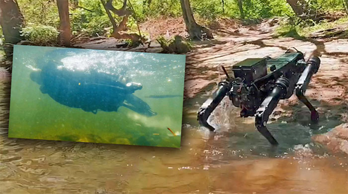  Chó robot của Hãng Ghost Robotics hiện đã có thể bơi cực tốt 