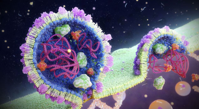 Phát hiện virus bí mật thống trị các đại dương trên khắp thế giới