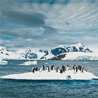 Sông băng Doomsday ở Nam Cực tan nhanh, lời cảnh báo biến đổi khí hậu đe dọa thảm họa nước biển dâng