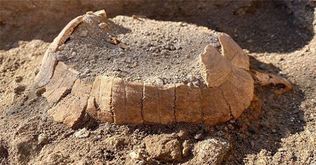 Sinh vật 2.000 tuổi nguyên vẹn và gây choáng váng ở thành phố hóa đá