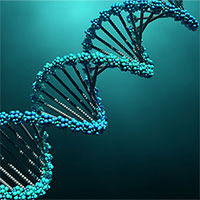 Công nghệ DNA mới khiến chúng ta phải "vẽ lại" cây tiến hóa