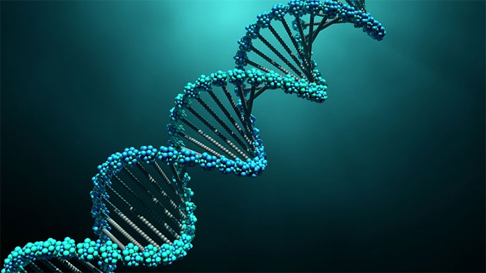 Công nghệ DNA mới khiến chúng ta phải “vẽ lại” cây tiến hóa