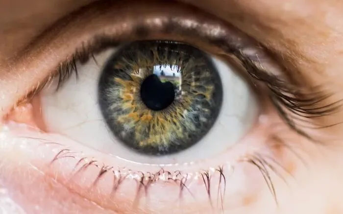 Đôi mắt con người chứa đựng nhiều dữ liệu “sống” ngay cả khi tử vong